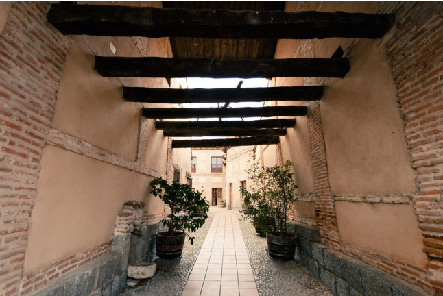 Visita a Bodega Subterránea y Lagar Histórico con Cata de Vinos y Tapas para dos en Javier Sanz Viticultor (La Seca, Valladolid)