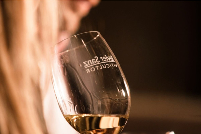 Visita a Bodega Subterránea y Lagar Histórico con Cata de Vinos y Tapas para dos en Javier Sanz Viticultor (La Seca, Valladolid)