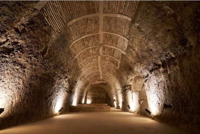 Visita a Bodega Subterránea y Lagar Histórico con Cata de Vinos y Tapas para dos en Javier Sanz Viticultor (La Seca, Valladolid)