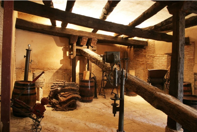 Visita a Bodega Subterránea y Lagar Histórico con Cata de Vinos y Tapas para dos en Javier Sanz Viticultor (La Seca, Valladolid)