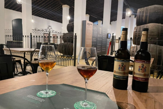 Visita Guiada a Bodega Cayetano del Pino con Cata de Vinos (Jerez de la Frontera, Cádiz)