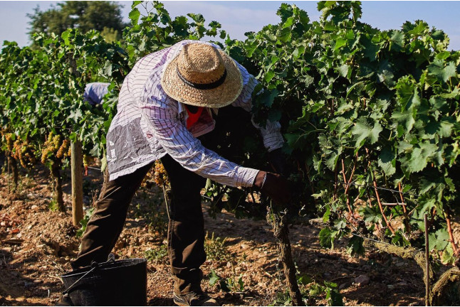 Visita a Bodega La Vinyeta y Cata de Vinos para dos (Girona)
