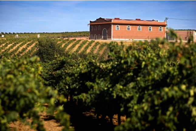 Visita a Bodega Las Encomiendas y Cata para dos (Villafranca de los Barros, Badajoz)