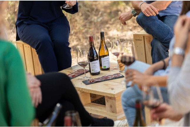Visita a la Bodega y Viñedos, Cata de Vinos y Aperitivo para dos en Las Moradas de San Martín (San Martín de Valdeiglesias, Madrid)