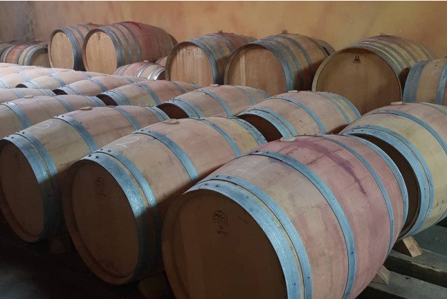 Visita a Bodegas Palacio de Lerma con Cata de 3 Vinos para dos (Lerma, Burgos)