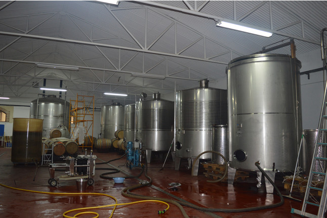 Visita a Bodegas Palacio de Lerma con Cata de 3 Vinos para dos (Lerma, Burgos)