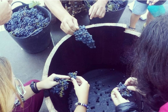 Visita a Bodegas Palacio de Lerma con Cata de 3 Vinos para dos (Lerma, Burgos)