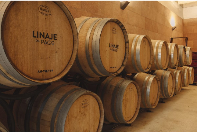 Visita a la Bodega con Degustación de Vinos y Picoteo para dos en Linaje del Pago (El Sauzal, Tenerife)