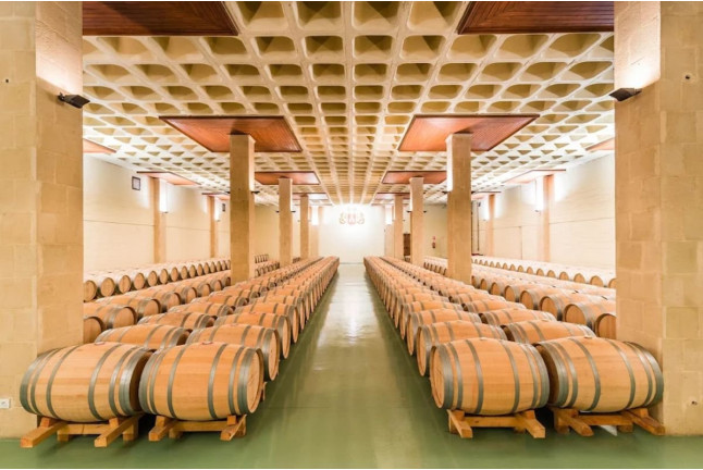 Visita a Bodegas Lozano con Cata a Ciegas (Leza, Álava)