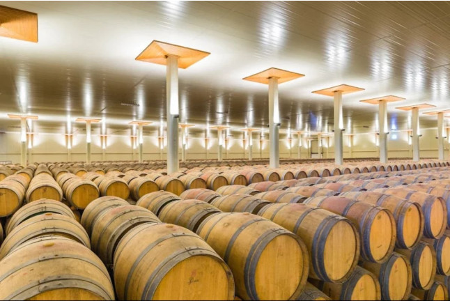 Visita a Bodegas Lozano con Cata a Ciegas (Leza, Álava)