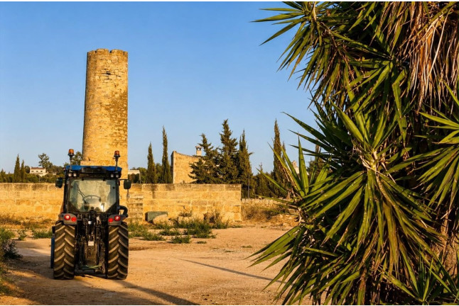 Visita Guiada y Cata de Vinos para dos en Bodega Can Morgan (Mallorca)