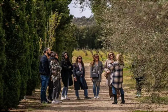 Visita a la Bodega y Cata de Vinos y Aceite en Masia Serra (Cantallops, Girona)