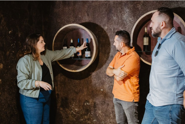 Visita a Bodega y Cata de Vinos para dos en Celler Masroig (Masroig, Tarragona)