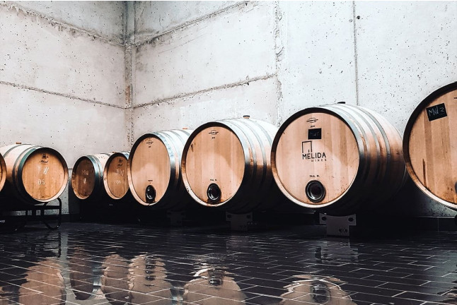 Visita a Bodega con Cata de Vinos y Aperitivo para dos en Mélida Wines (Mélida, Valladolid)