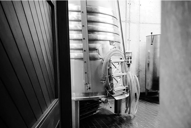 Visita a Bodega con Cata de Vinos y Aperitivo para dos en Mélida Wines (Mélida, Valladolid)