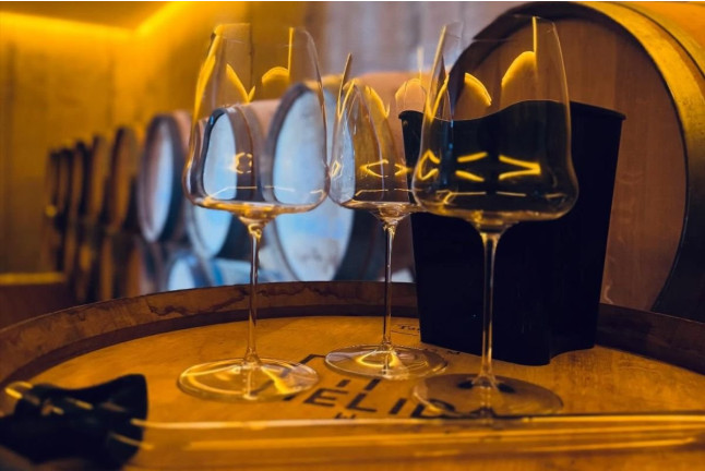 Visita a Bodega con Cata de Vinos y Aperitivo para dos en Mélida Wines (Mélida, Valladolid)