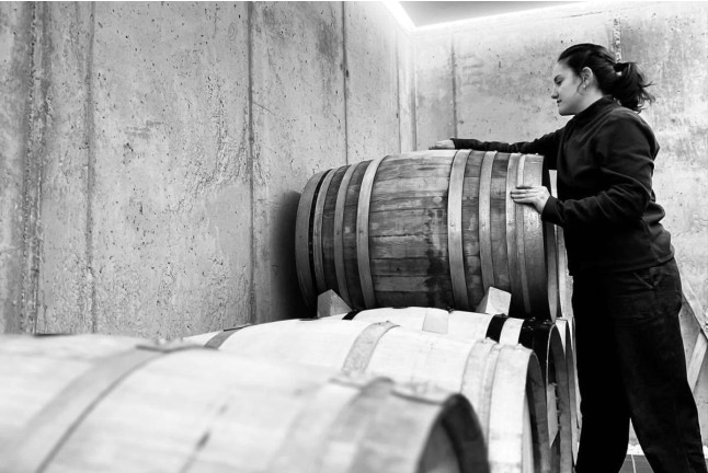 Visita a Bodega con Cata de Vinos y Aperitivo para dos en Mélida Wines (Mélida, Valladolid)