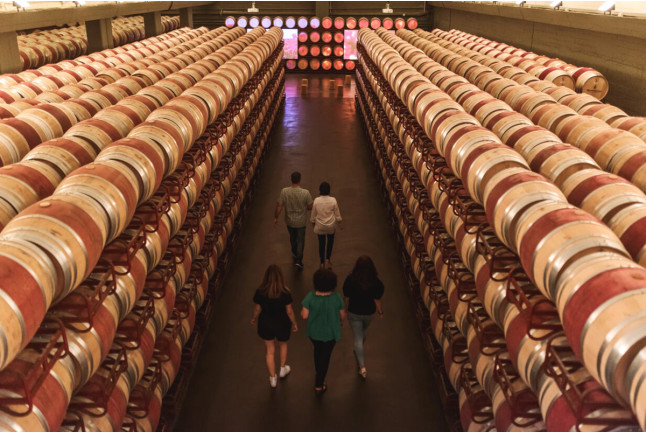 Visita a Bodega Montecillo con Taller de Barricas, Cata de Vinos Premium y Museo (Navarrete, La Rioja)