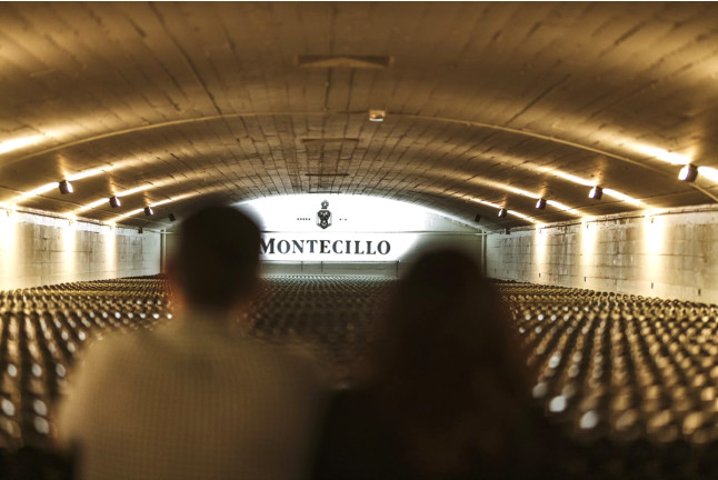Visita a Bodega Montecillo con Taller de Barricas, Cata de Vinos Premium y Museo (Navarrete, La Rioja)