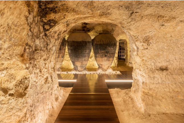 Visita Schenk: Visita a Bodega con Cata de Vinos Premium y Maridaje de Ibéricos en Bodegas Murviedro para dos (Requena, Valencia)