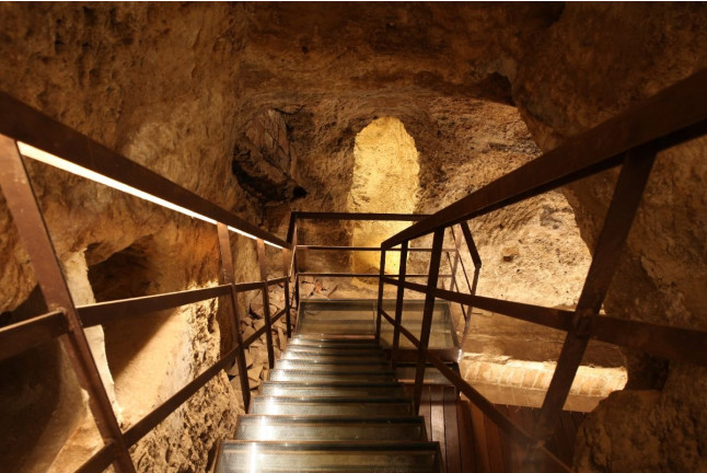Visita Schenk: Visita a Bodega con Cata de Vinos Premium y Maridaje de Ibéricos en Bodegas Murviedro para dos (Requena, Valencia)