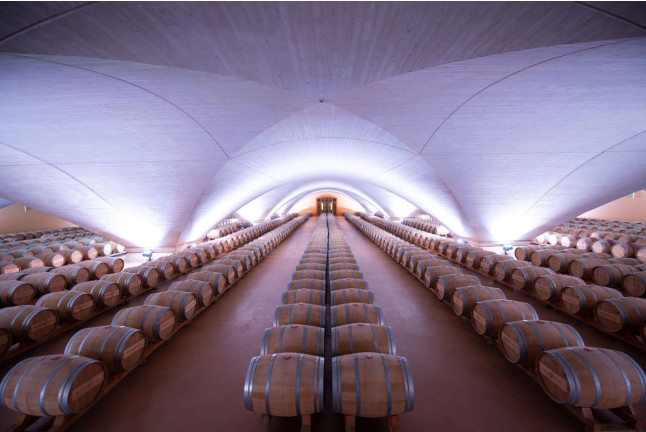 Señorío de Otazu: Visita a Bodega Otazu para dos (Otazu, Navarra)