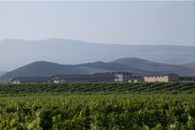 Señorío de Otazu: Visita a Bodega Otazu para dos (Otazu, Navarra)