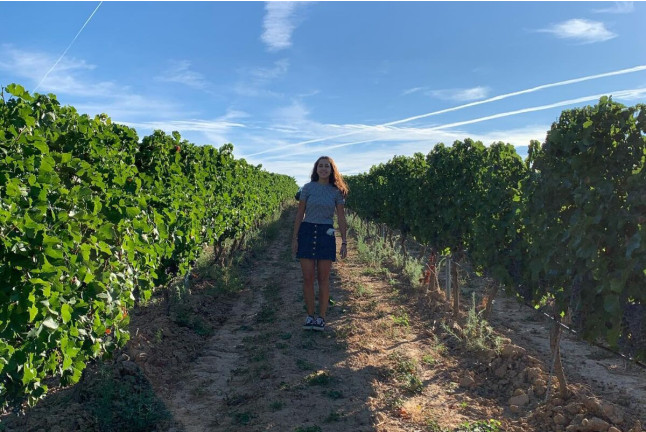 Visita a la Bodega Otto Bestué con Cata para dos (Enate, Huesca)