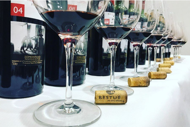 Visita a la Bodega Otto Bestué con Cata para dos (Enate, Huesca)