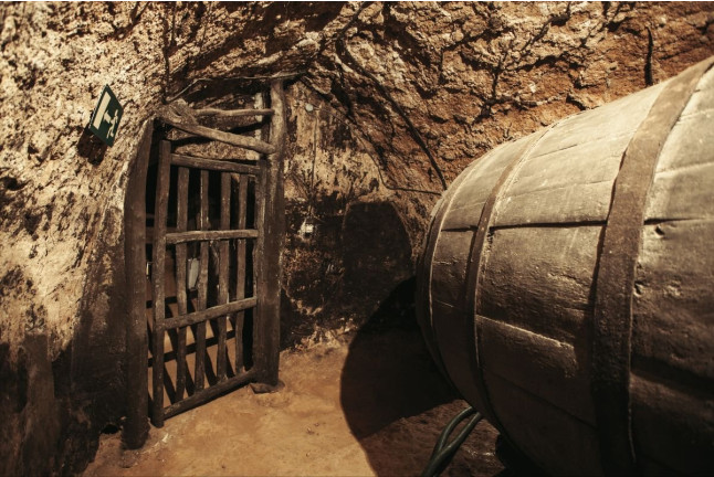 Vista a Bodega Subterránea con Cata de Vinos en Bodega Remigio Salas (Dueñas, Palencia)