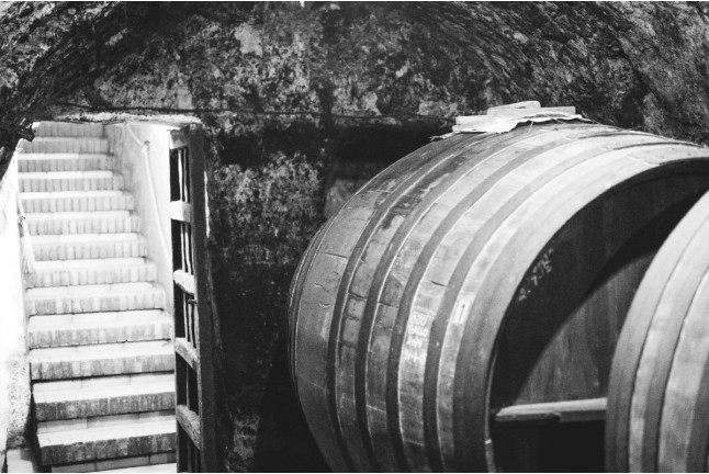 Vista a Bodega Subterránea con Cata de Vinos en Bodega Remigio Salas (Dueñas, Palencia)