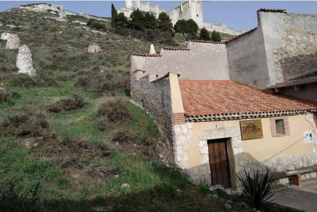 Visita con Espectáculo, Degustación de Vino en Jarrillo de Barro y Aperitivo para dos en Bodega La Olmilla (Peñafiel, Valladolid)