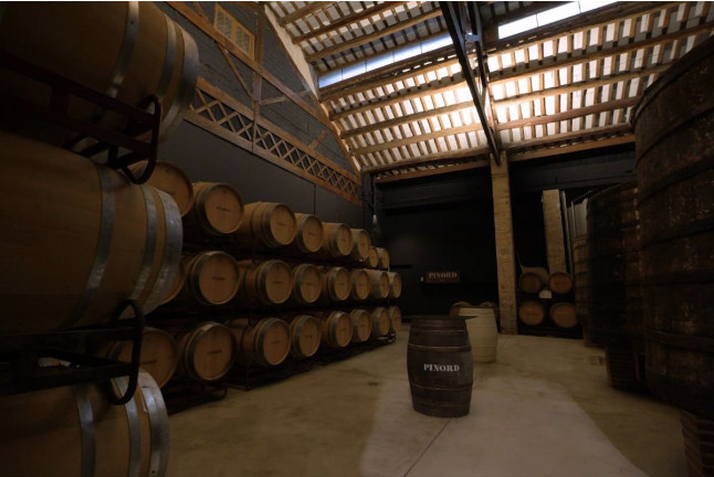Sílice 501: Visita a la Bodega Histórica Pinord Vilafranca con Cata de Vino y Maridaje para dos (Vilafranca del Penedés, Barcelona)