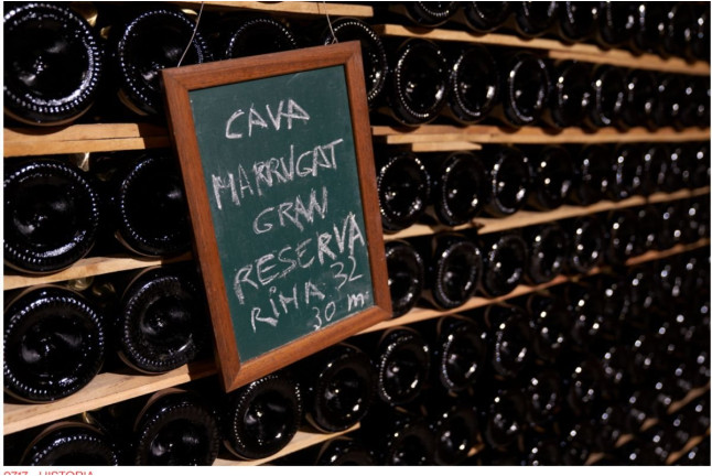 Sílice 501: Visita a la Bodega Histórica Pinord Vilafranca con Cata de Vino y Maridaje para dos (Vilafranca del Penedés, Barcelona)
