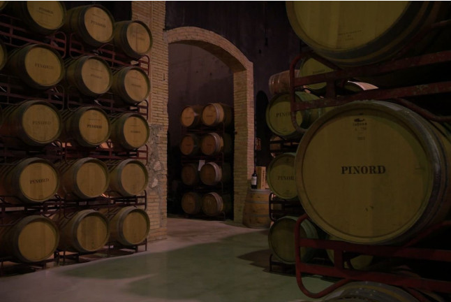 Sílice 501: Visita a la Bodega Histórica Pinord Vilafranca con Cata de Vino y Maridaje para dos (Vilafranca del Penedés, Barcelona)