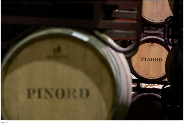 Sílice 501: Visita a la Bodega Histórica Pinord Vilafranca con Cata de Vino y Maridaje para dos (Vilafranca del Penedés, Barcelona)
