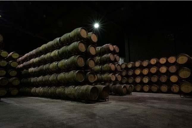 Sílice 501: Visita a la Bodega Histórica Pinord Vilafranca con Cata de Vino y Maridaje para dos (Vilafranca del Penedés, Barcelona)