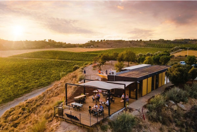 Visita Guiada y Cata de 5 Vinos con Maridaje de Quesos Artesanos para dos en Bodegas Raimat (Lleida)