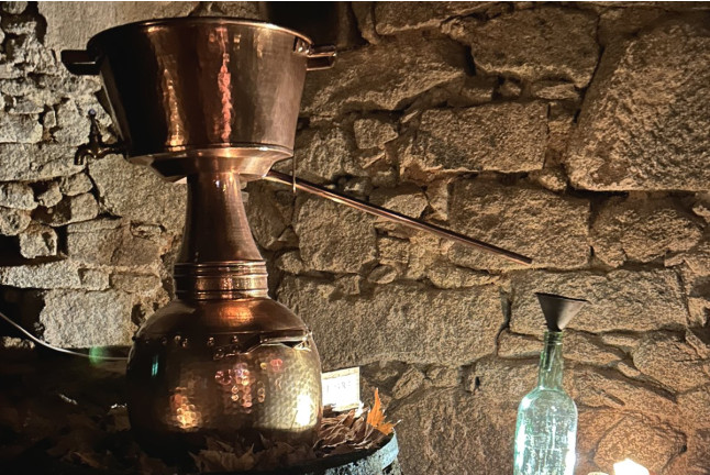 Visita a La Bodega Medieval y Degustación de Vinos con Aperitivo para dos (San Martín del Castañar, Salamanca)