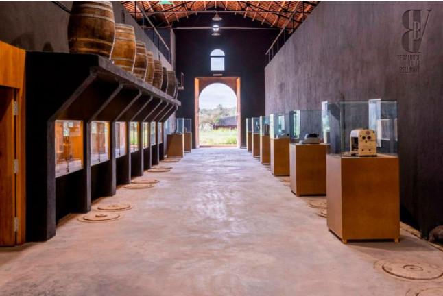 Visita Guiada a Viñedos y Bodegas Besalduch Valls & Bellmunt con Cata de Vinos y Menú (Sant Mateu, Castellón)