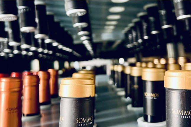 Visita a Bodega Sommos con Cata de 3 Vinos (Barbastro, Huesca)