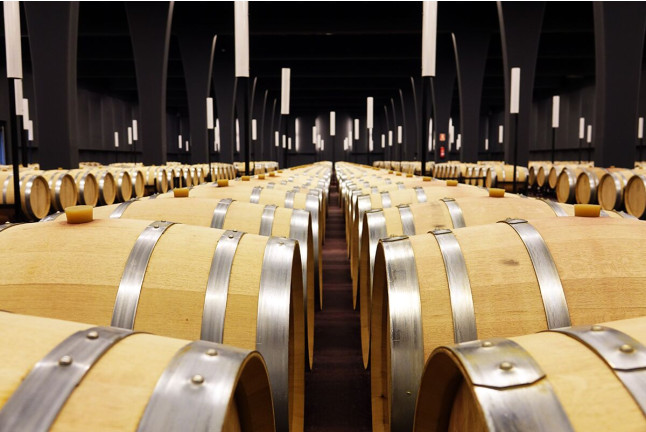 Visita a Bodega Sommos con Cata de 3 Vinos (Barbastro, Huesca)
