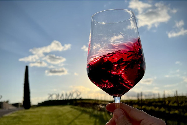 Visita a Bodega Sommos con Cata de 3 Vinos (Barbastro, Huesca)