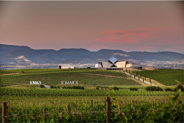 Visita a Bodega Sommos con Cata de 3 Vinos (Barbastro, Huesca)