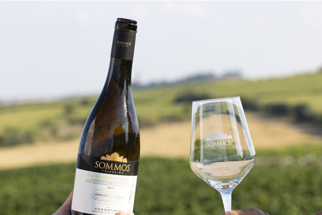 Visita a Bodega Sommos con Cata de 3 Vinos (Barbastro, Huesca)