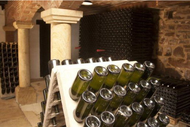 Visita a Bodega Txakoli Beldui con Cata de Vinos para dos (Llodio, Álava)
