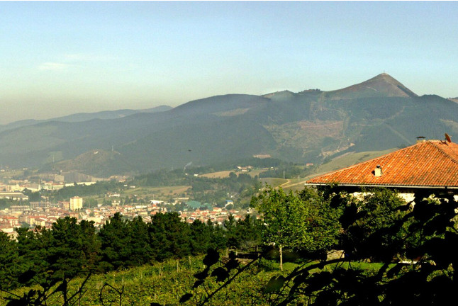 Visita a Bodega Txakoli Beldui con Cata de Vinos para dos (Llodio, Álava)