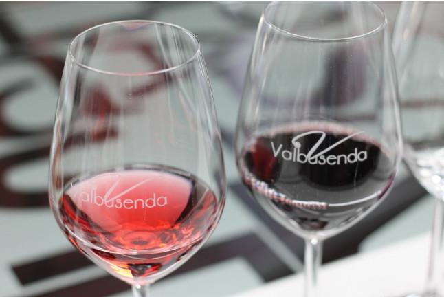 Visita a Bodega Valbusenda y Degustación de Vinos con acompañamiento en Valbusenda Hotel Bodega & Spa 5* (Toro, Zamora)