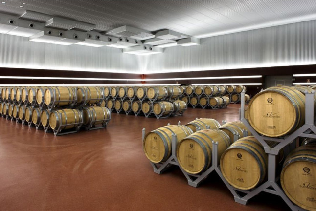 Visita a Bodega Valbusenda y Degustación de Vinos con acompañamiento en Valbusenda Hotel Bodega & Spa 5* (Toro, Zamora)