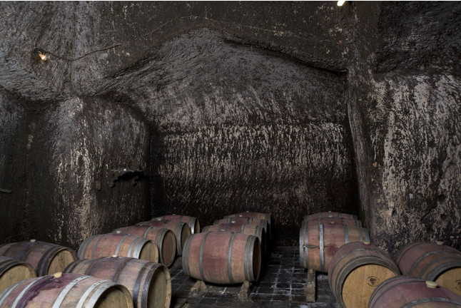 Visita a Bodega Pardevalles y Cata de Vinos para dos (Valdevimbre, León)